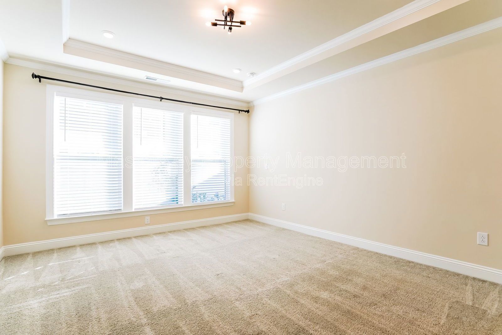 Luxury 4 Bedroom Townhome in Cary! property image