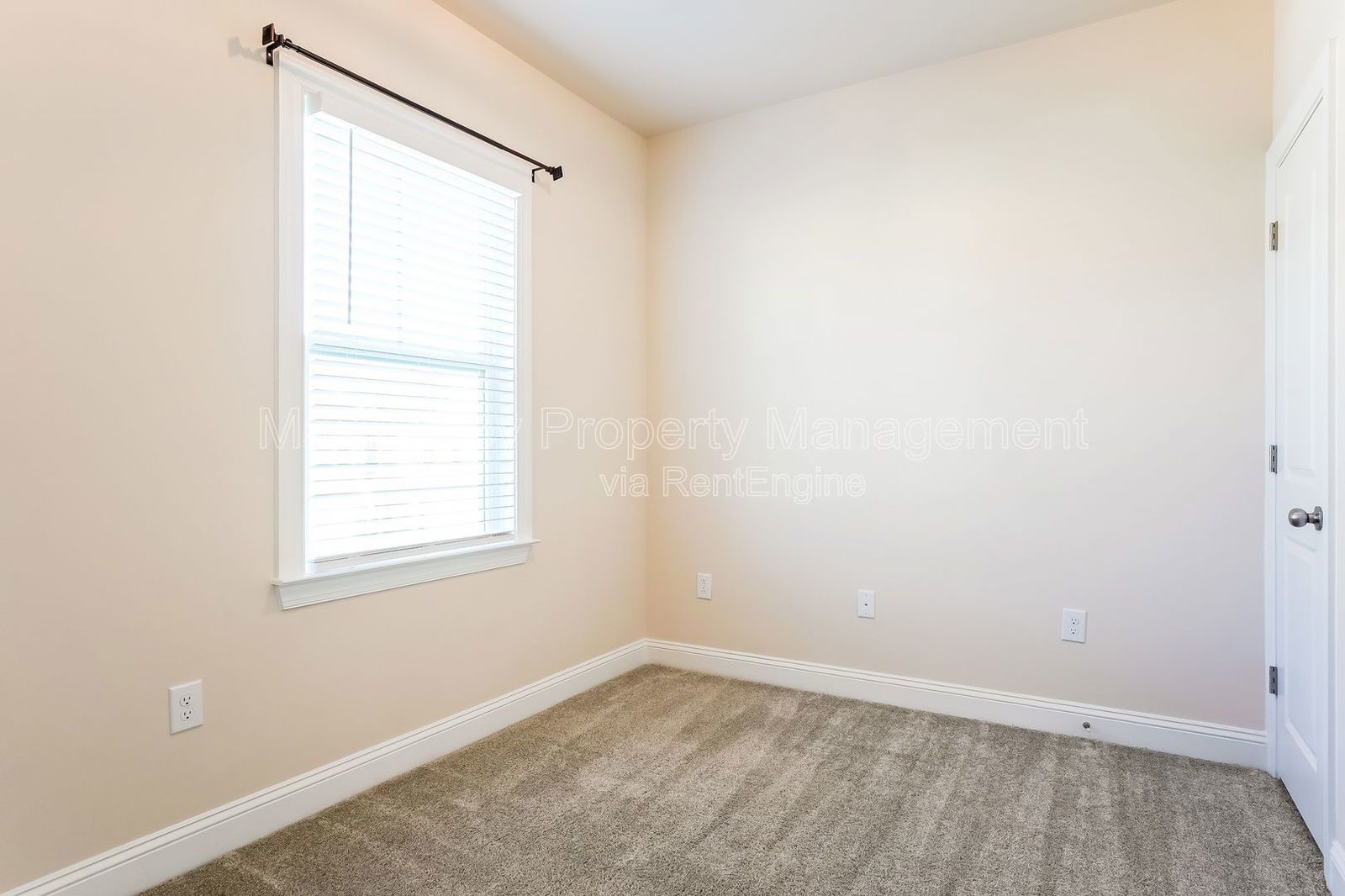 Luxury 4 Bedroom Townhome in Cary! property image